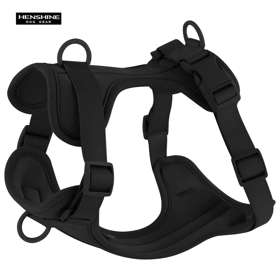 Harnais et Laisse Double en PVC pour Chien - Confortable, Respirant