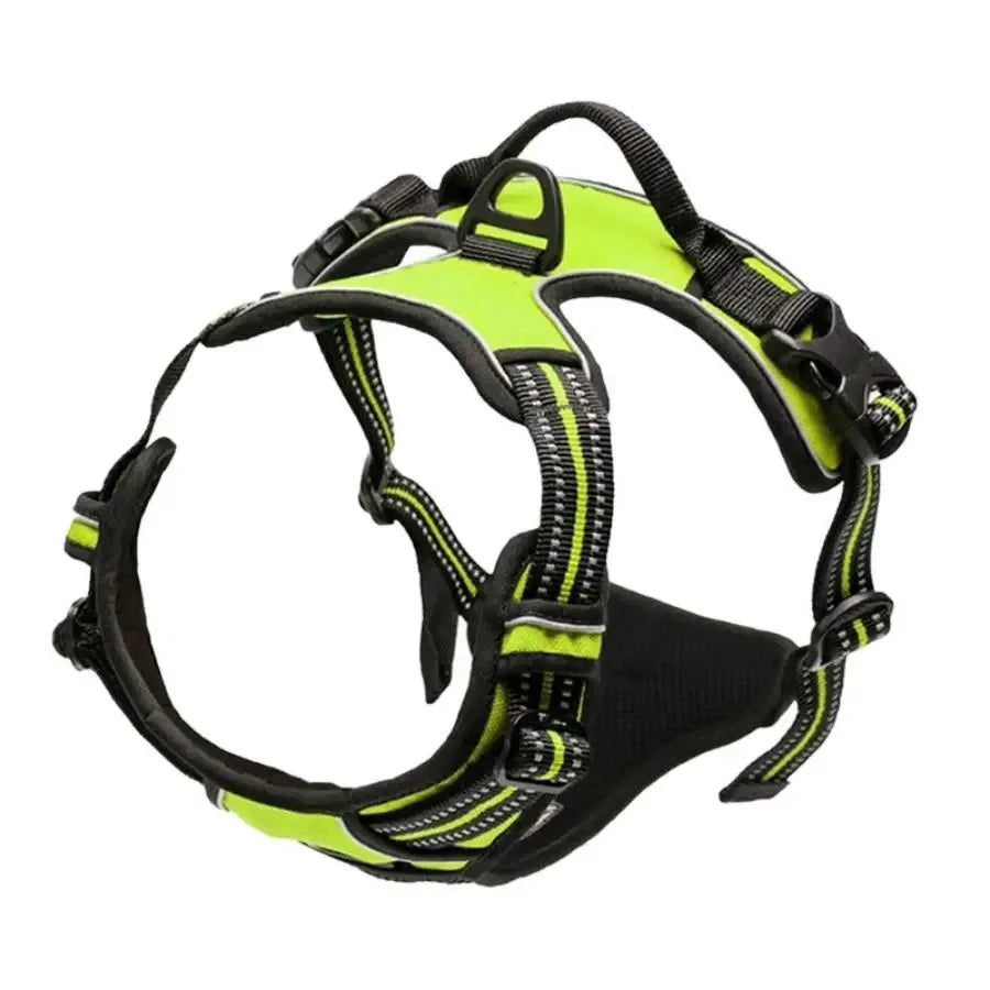 Ensemble Colliers, Harnais et Laisse en Cuir pour Chiot - Petit/Moyen Chien