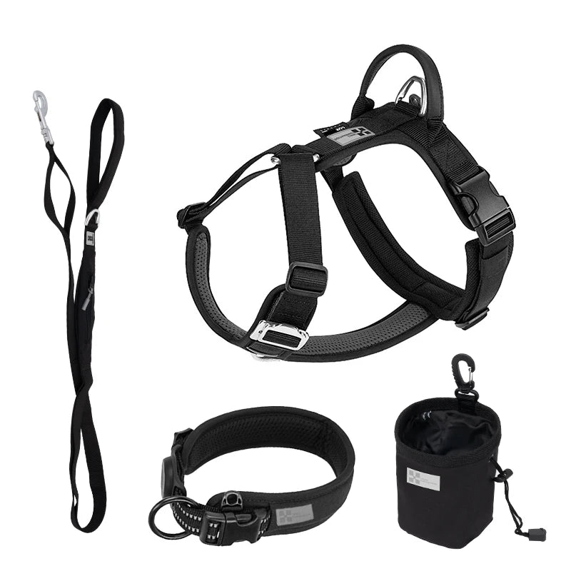 Ensemble Harnais et Laisse Anti-Traction pour Grand Chien