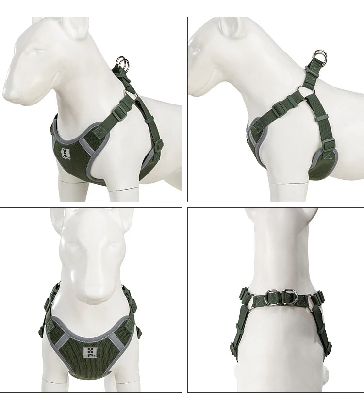 Ensemble Harnais et Laisse Réglable pour Chat et Petit Chien