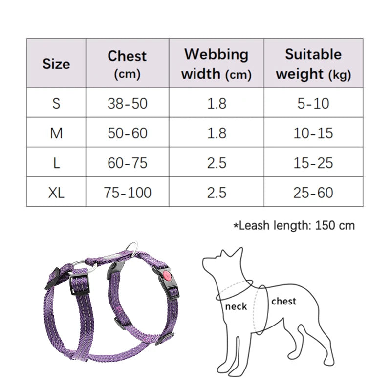 Harnais Anti-Évasion Type H pour Chien - Lavable, Réglable