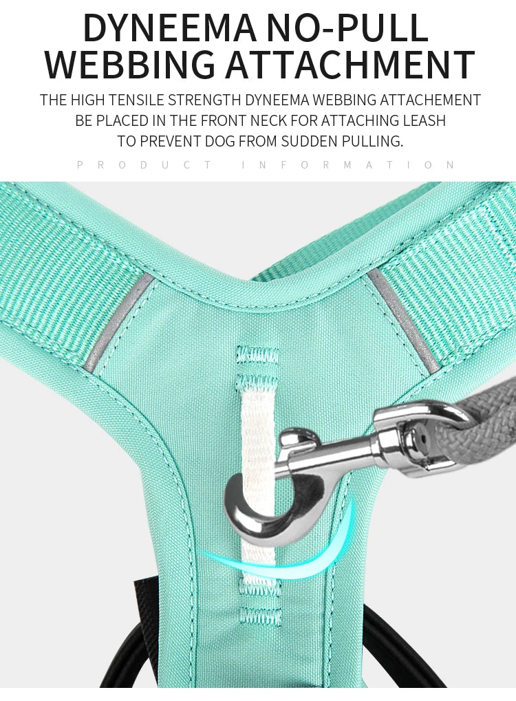 Ensemble Harnais et Laisse Anti-Traction pour Grand Chien