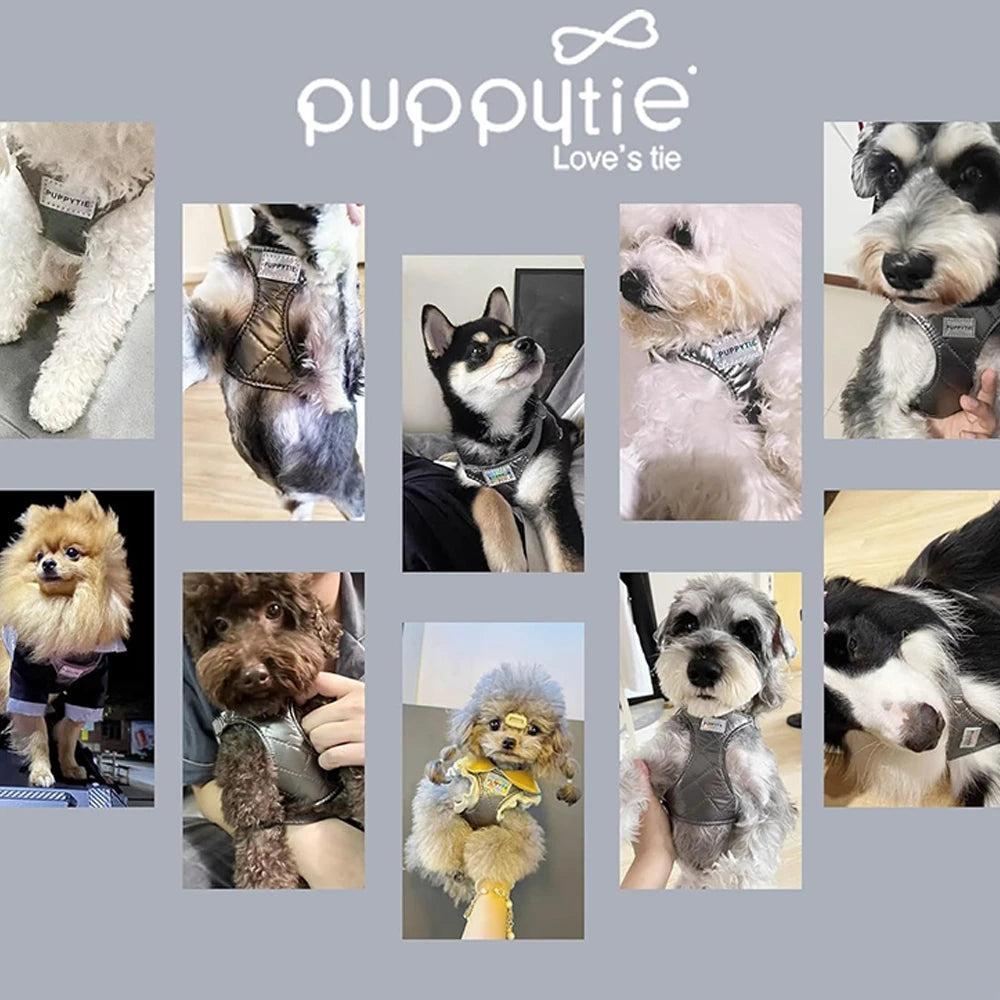 Harnais Sans Traction pour Chiot et Petit Chien - Marche Douce