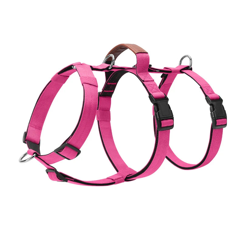 Harnais Anti-Traction Nylon pour Grand Chien - Entraînement