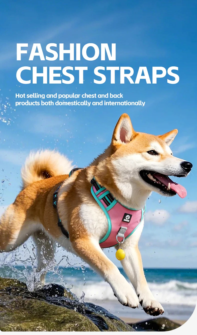 Harnais Oxford Anti-Évasion Réfléchissant pour Grand Chien - avec Collier