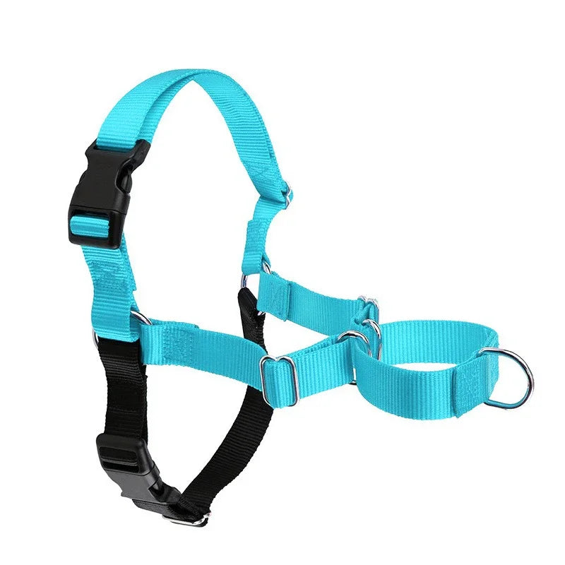 Harnais Anti-Rupture en Nylon Solide pour Chien Moyen/Grand - Husky