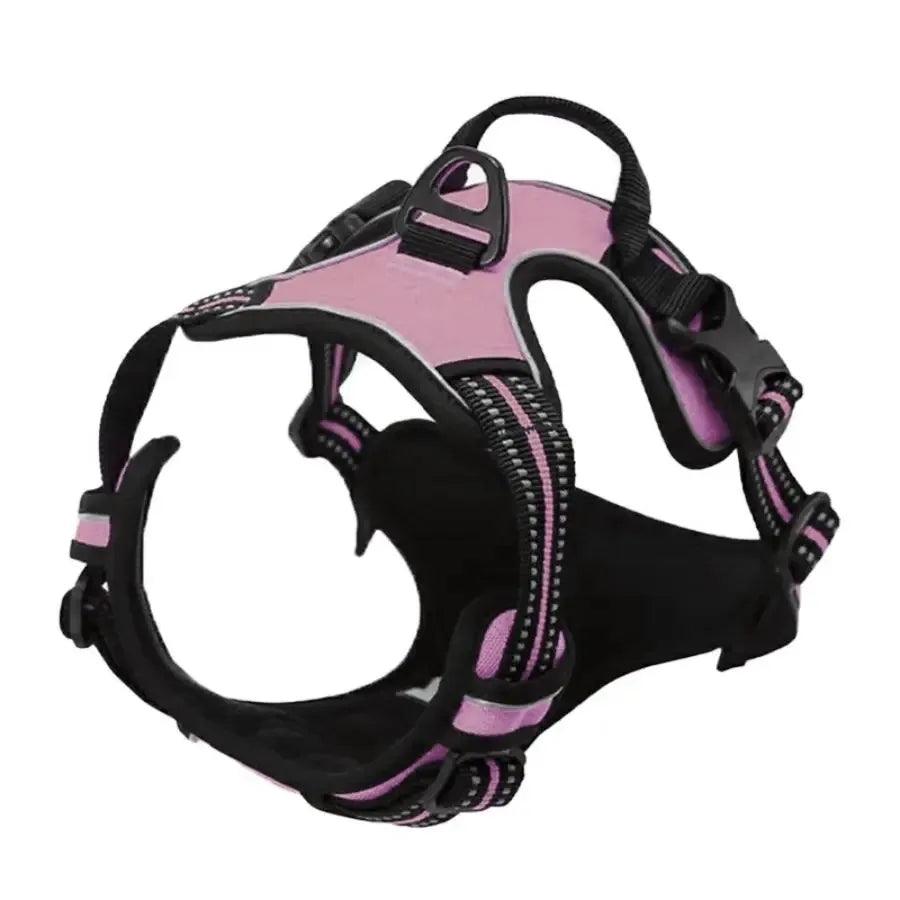 Ensemble Colliers, Harnais et Laisse en Cuir pour Chiot - Petit/Moyen Chien