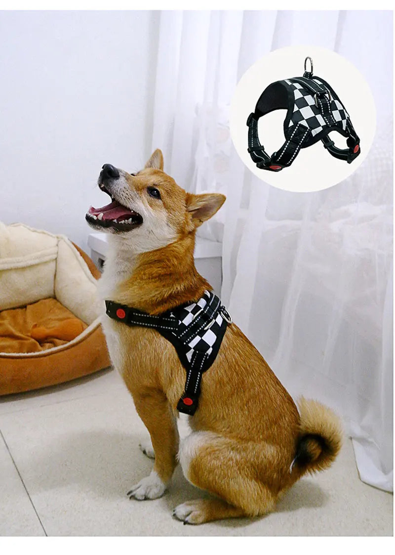 Harnais Nylon Robuste pour Chien - Réglable, Extra Large