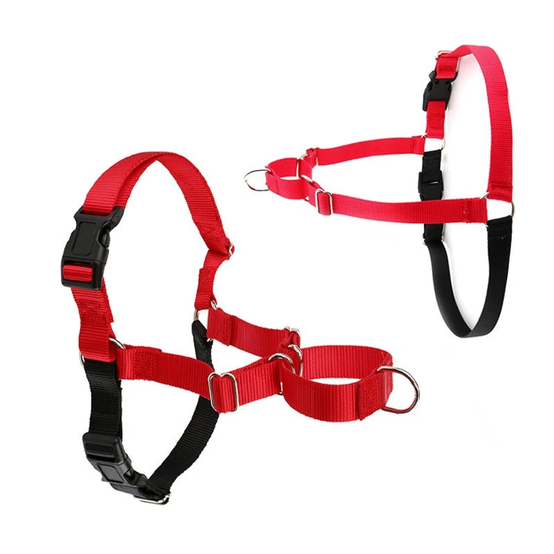 Harnais Anti-Rupture en Nylon Solide pour Chien Moyen/Grand - Husky