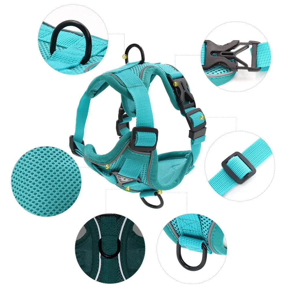 Ensemble Harnais et Laisse pour Petit Chien - Bouledogue, Carlin, Chiot