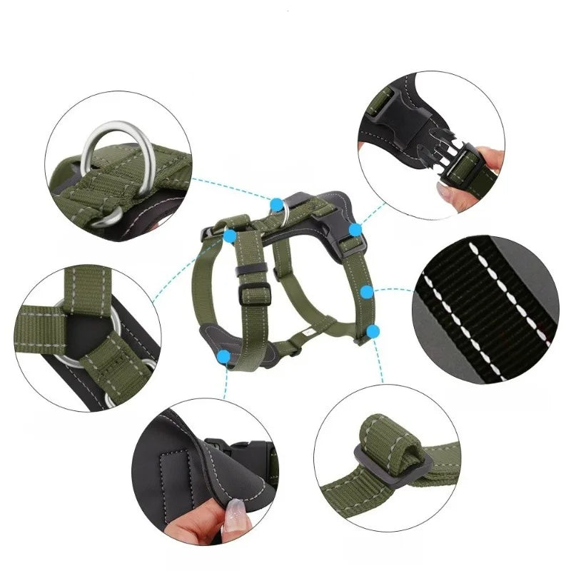 Harnais en Cuir pour Chien - Style Gilet, avec Collier et Laisse