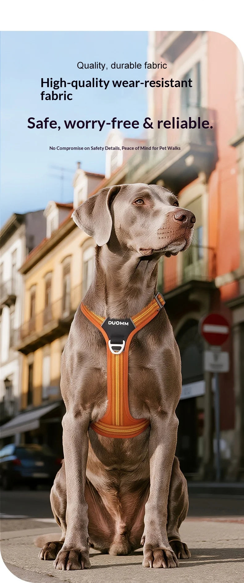 Harnais Anti-Traction Souple et Résistant pour Chien