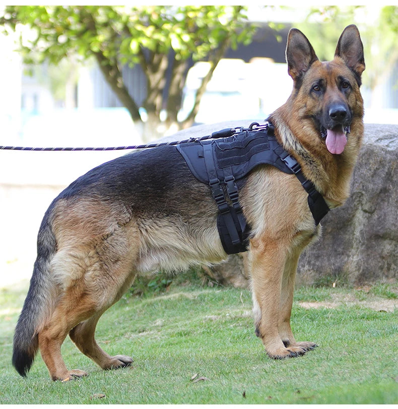 Harnais Gilet Tactique pour Grand Chien - Entraînement et Garde