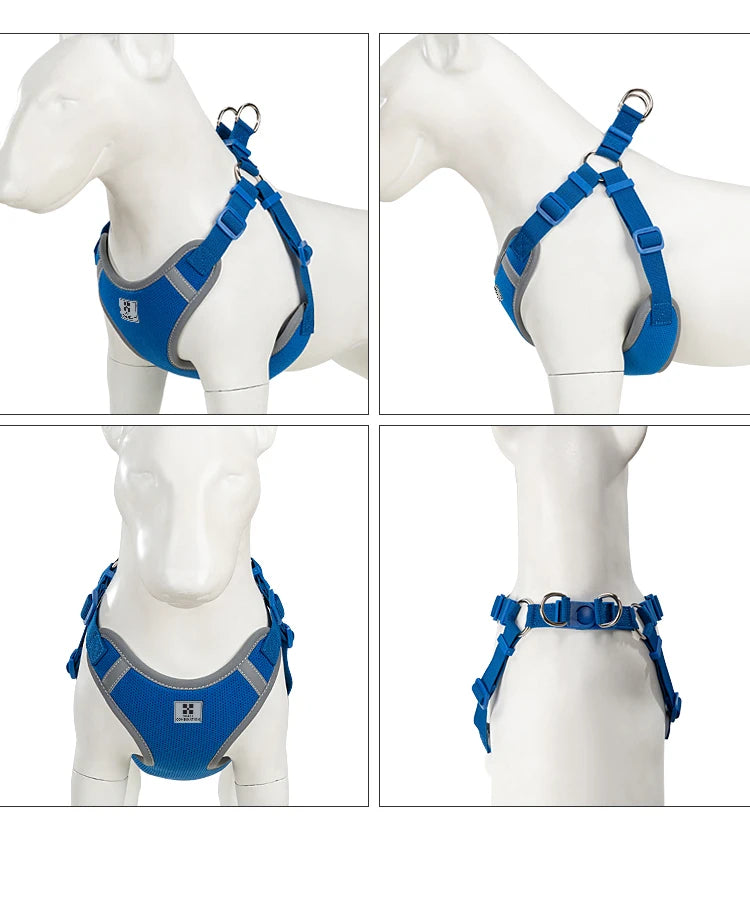 Ensemble Harnais et Laisse Réglable pour Chat et Petit Chien