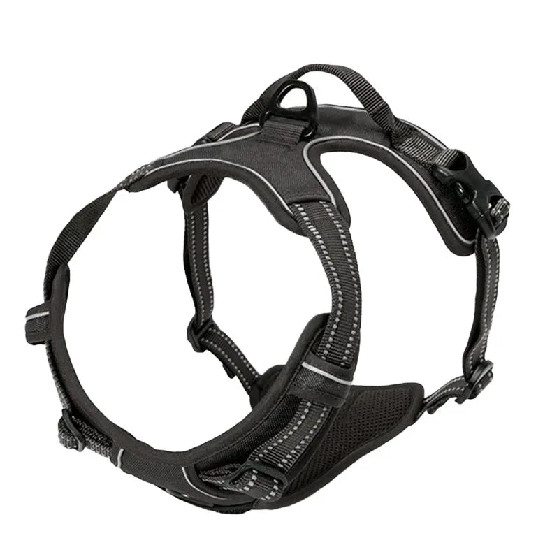 Ensemble Collier, Harnais et Laisse Réfléchissants pour Grand Chien
