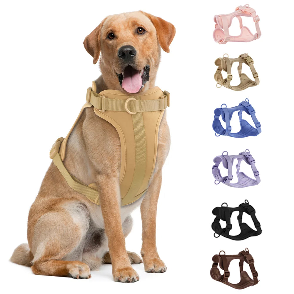 Harnais et Laisse Double en PVC pour Chien - Confortable, Respirant