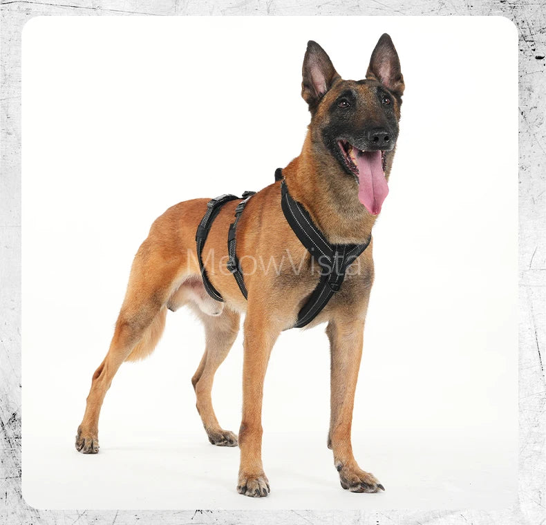 Harnais Robuste Rembourré Anti-Traction pour Chien Moyen/Grand - Travail