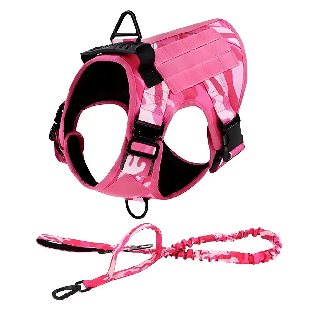 Ensemble Harnais et Laisse Tactique Militaire pour Chien - Anti-Traction