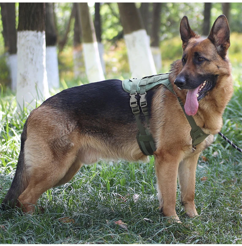 Harnais Gilet Tactique pour Grand Chien - Entraînement et Garde