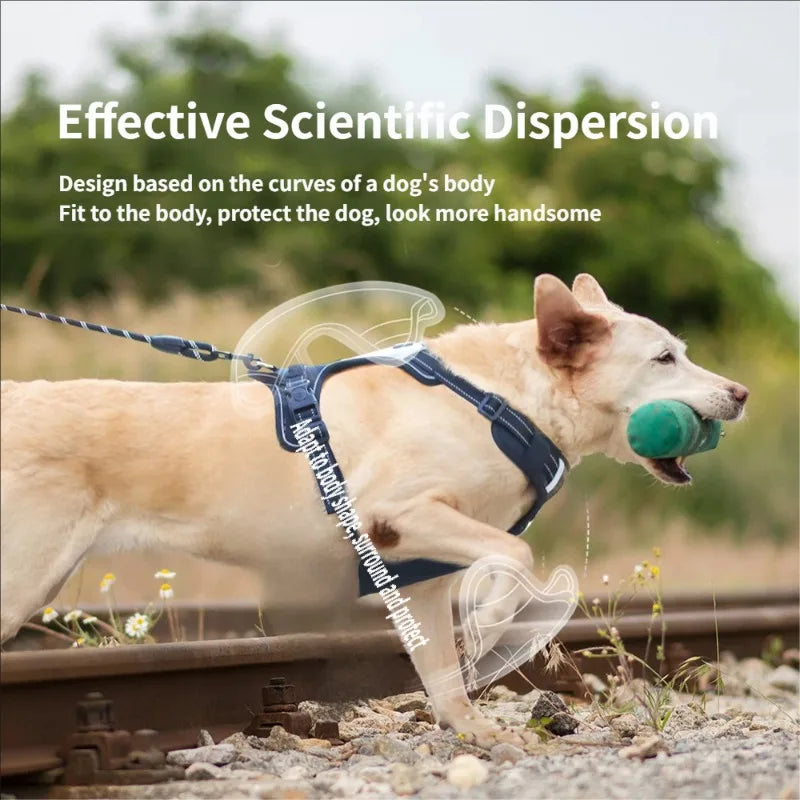 Harnais Type Veste pour Chien - Toutes Races, Résistant aux Chocs