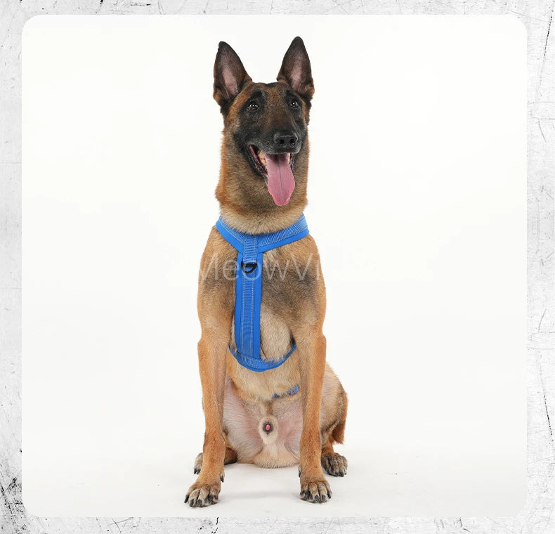 Harnais Robuste Rembourré Anti-Traction pour Chien Moyen/Grand