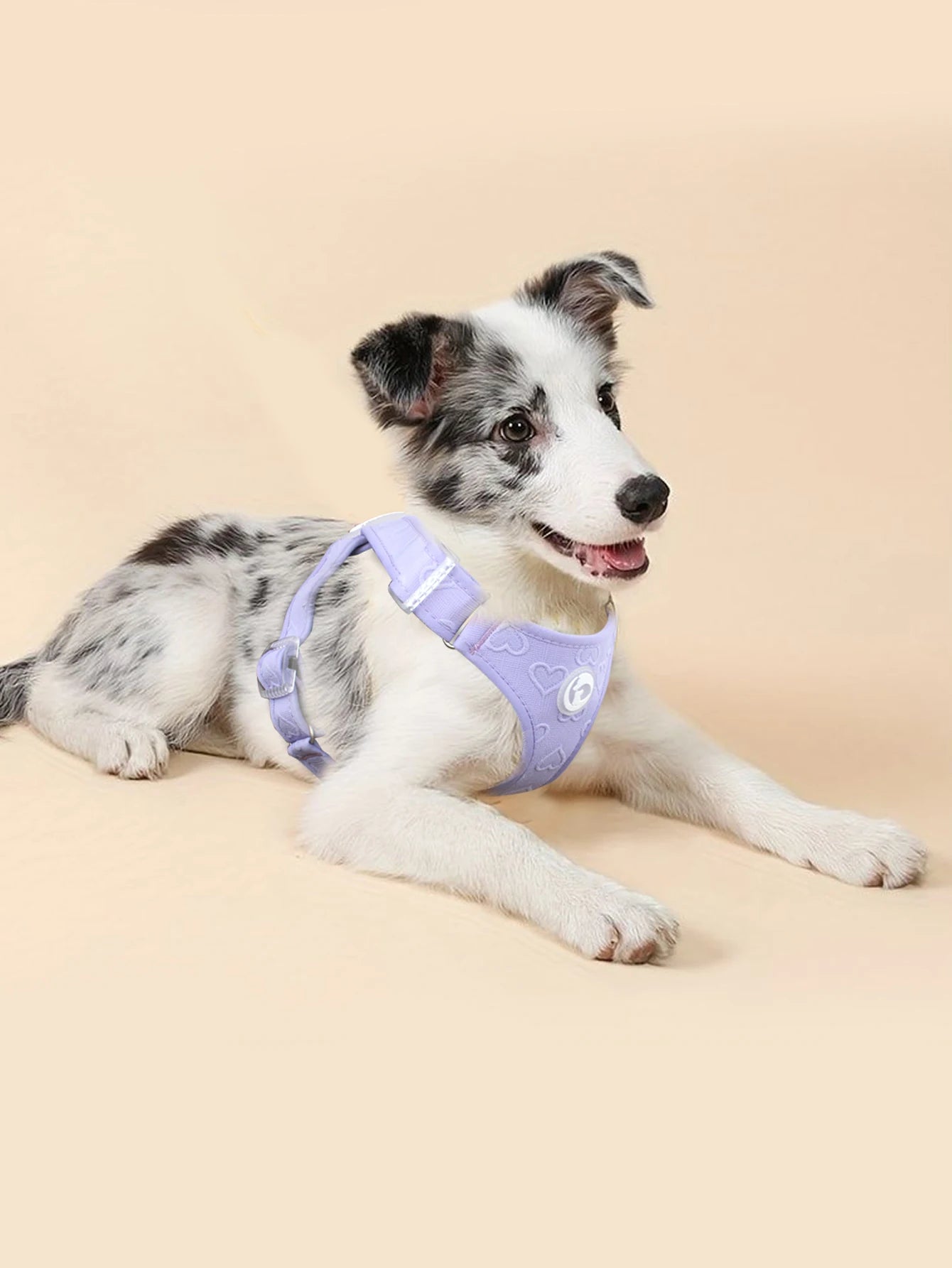 Gilet Nylon Sans Traction pour Petit Chien - Léger et Confortable