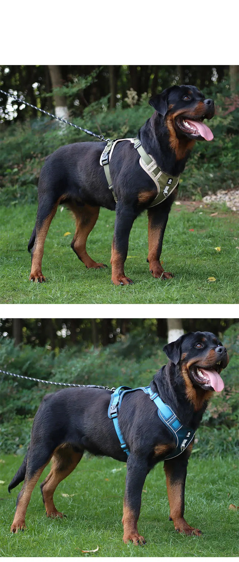 Harnais Tactique Oxford Imperméable Anti-Traction pour Grand Chien