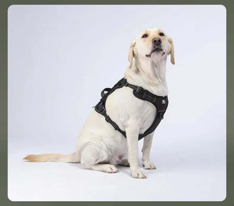 Harnais Tactique MOLLE Anti-Traction pour Grand Chien