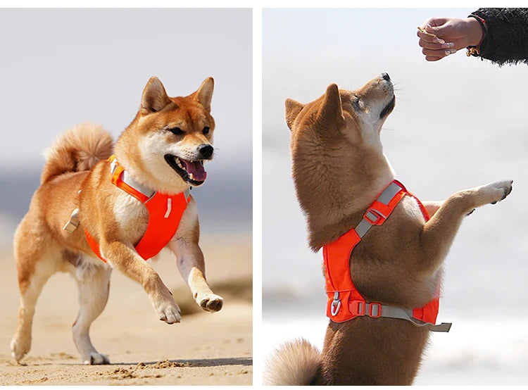 Harnais Sangle Nylon Réfléchissante pour Petit et Moyen Chien