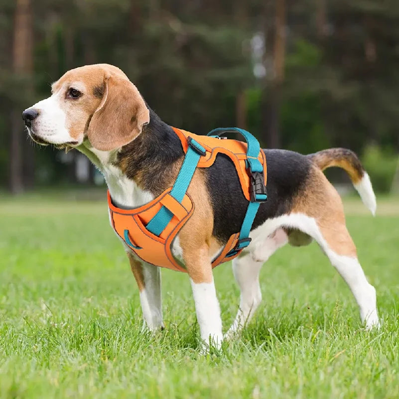 Harnais en Maille Respirante Réfléchissant pour Chien - Toutes Tailles
