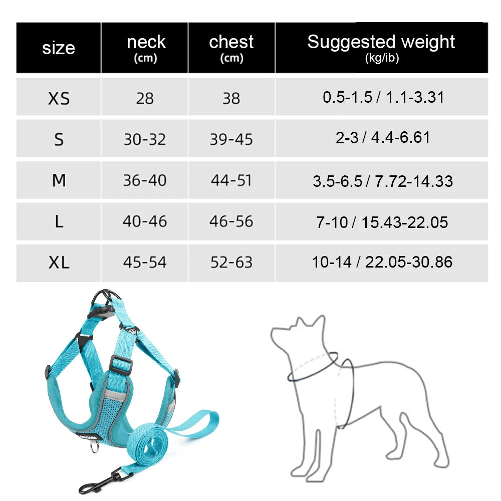 Ensemble Harnais et Laisse Classique et Doux pour Chien - Toutes Races
