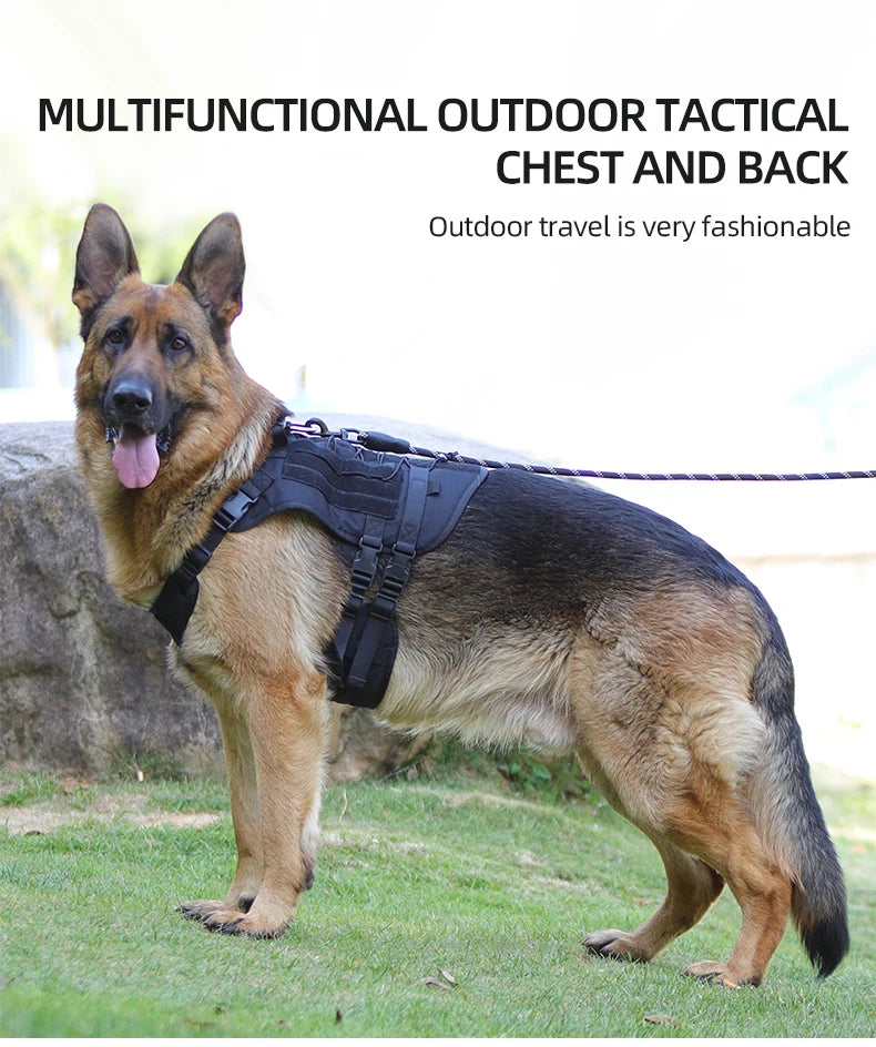 Harnais Gilet Tactique pour Grand Chien - Entraînement et Garde