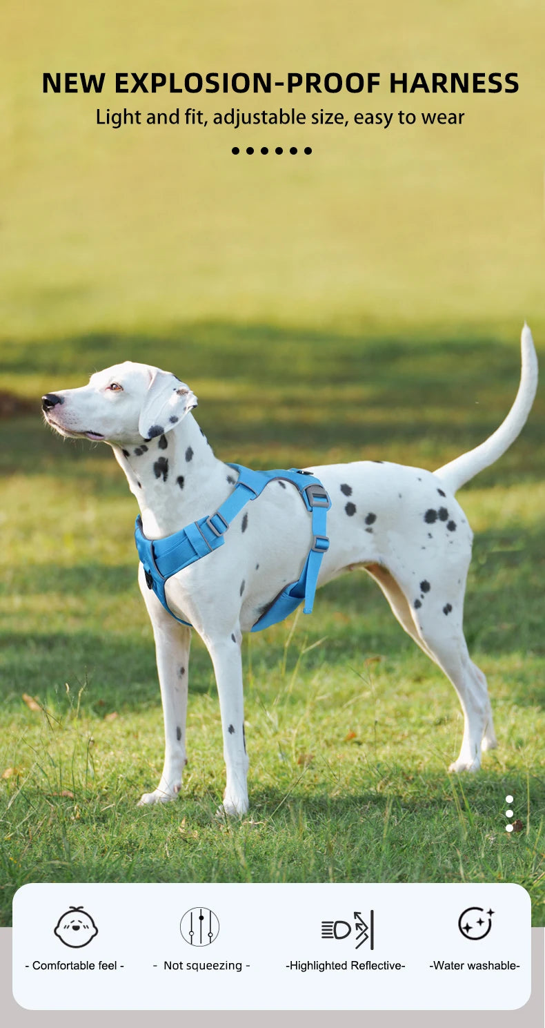 Harnais de Sécurité Anti-Traction pour Chien - Solide et Réglable