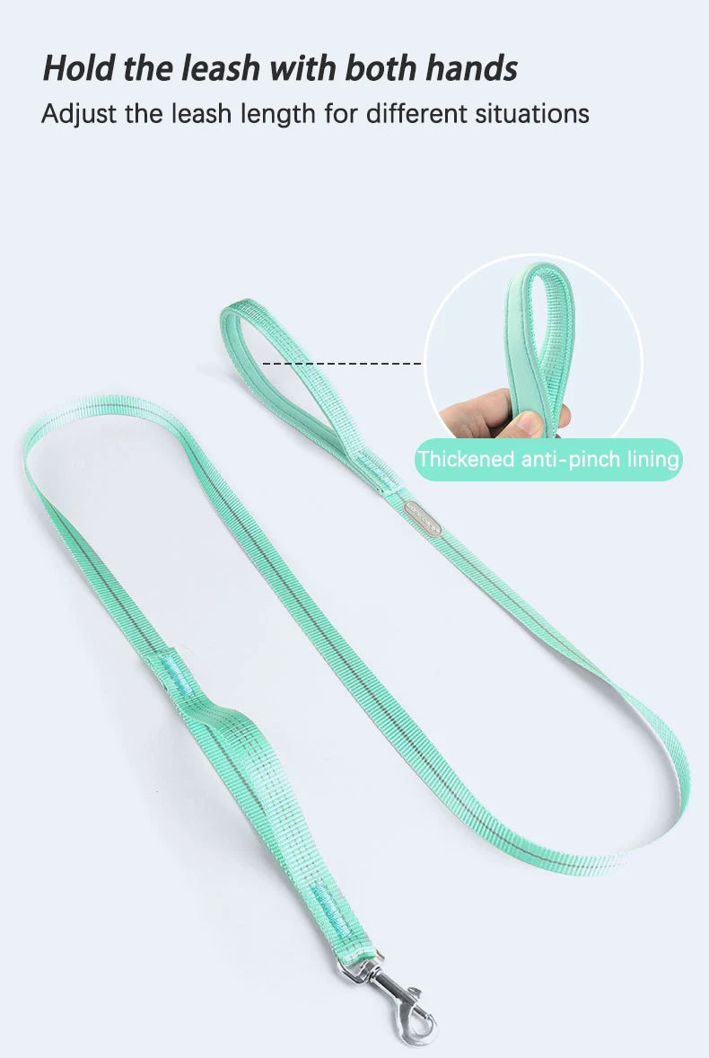 Harnais Type H en Nylon avec 2 Anneaux D - Léger, Anti-Traction