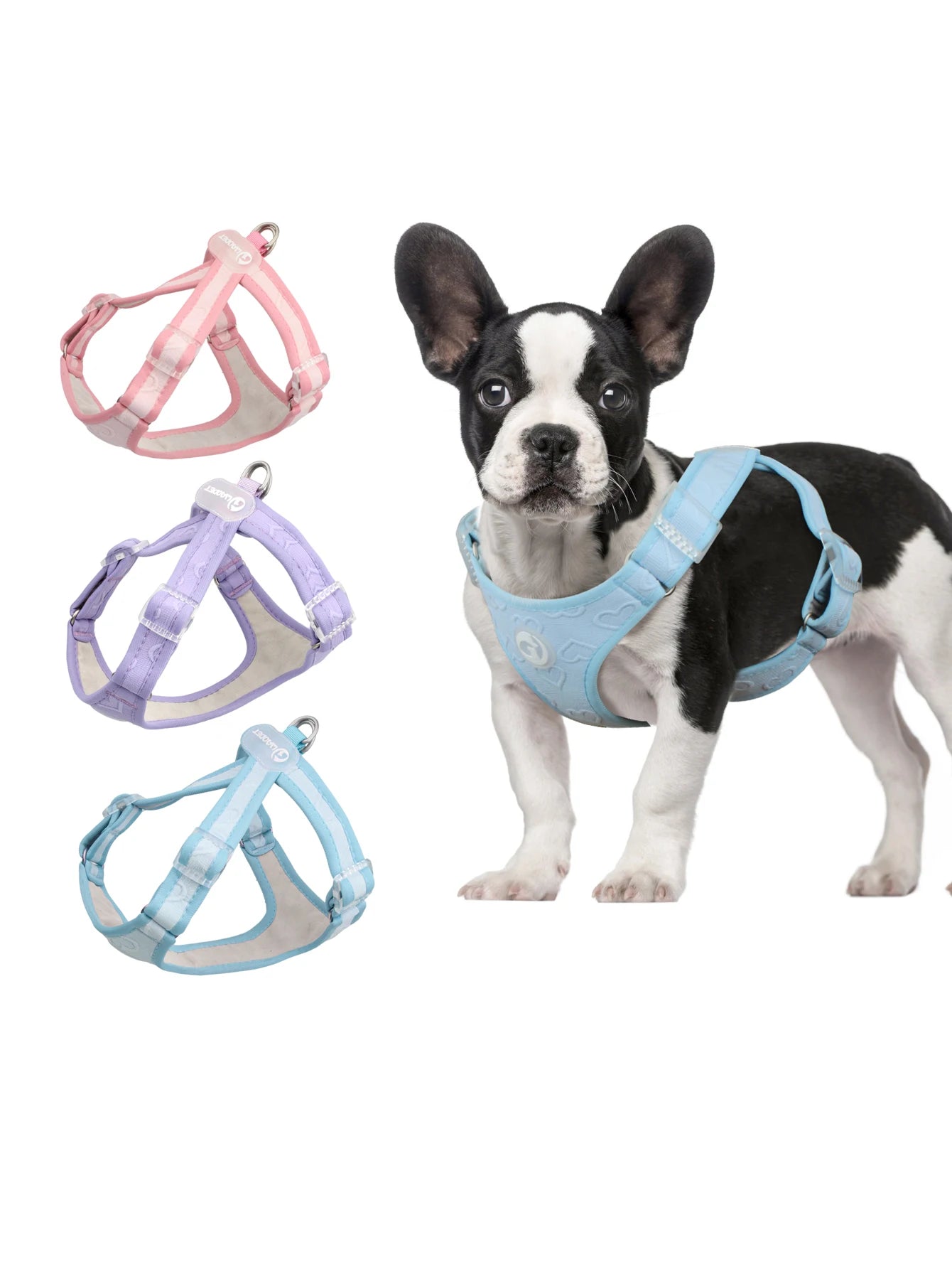 Gilet Nylon Sans Traction pour Petit Chien - Léger et Confortable