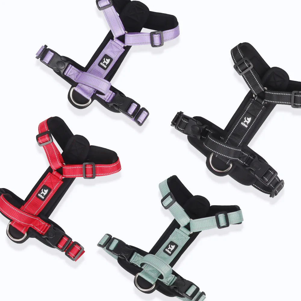 Harnais Gilet Rembourré Sans Traction pour Petit et Moyen Chien - Nouvelle Collection