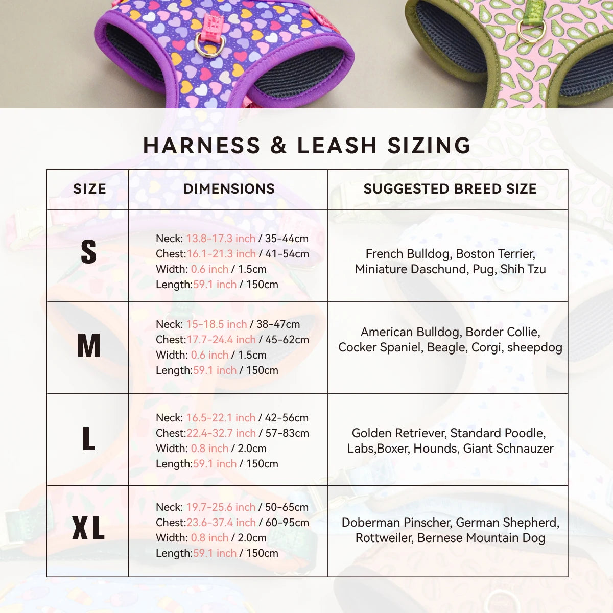 Harnais de Luxe pour Chien - Design Mignon, avec Laisse