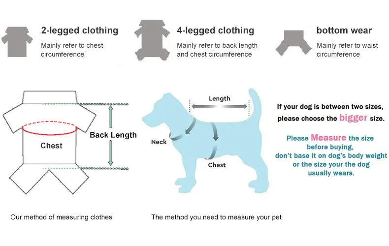 Harnais et Laisse Anti-Évasion Robuste pour Chien - Idéal Corgi