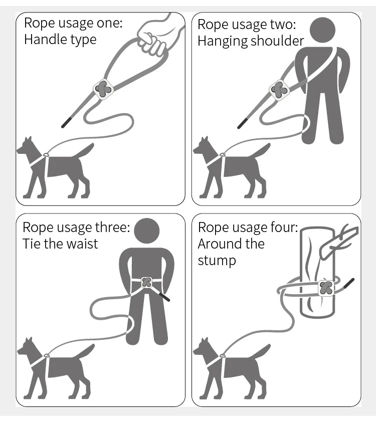 Ensemble Harnais et Laisse Réglable pour Chat et Petit Chien