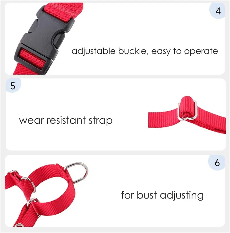 Harnais Anti-Rupture en Nylon Solide pour Chien Moyen/Grand - Husky