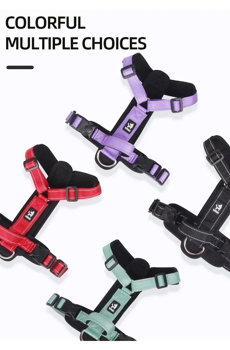 Ensemble Harnais, Laisse et Collier Classique pour Chien