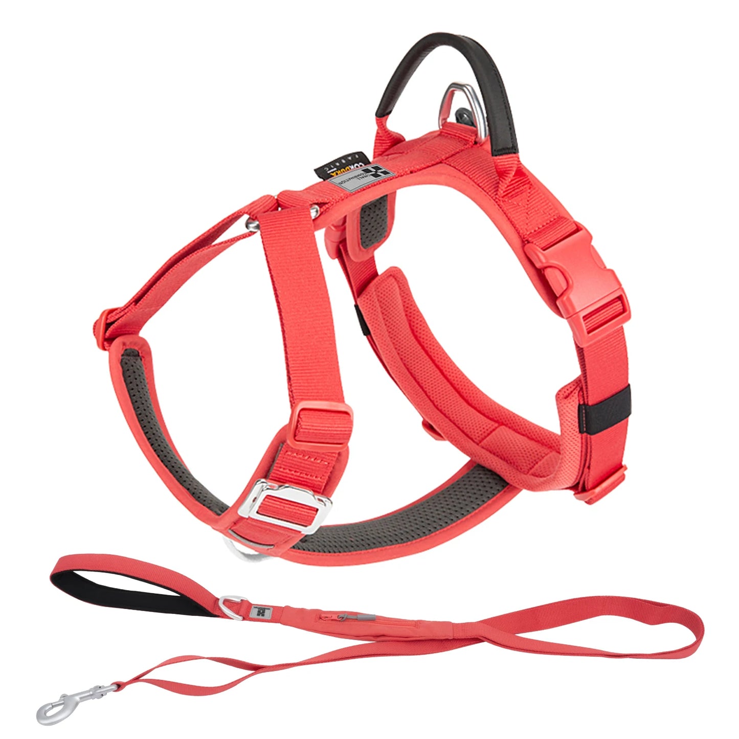 Ensemble Harnais et Laisse Anti-Traction pour Grand Chien