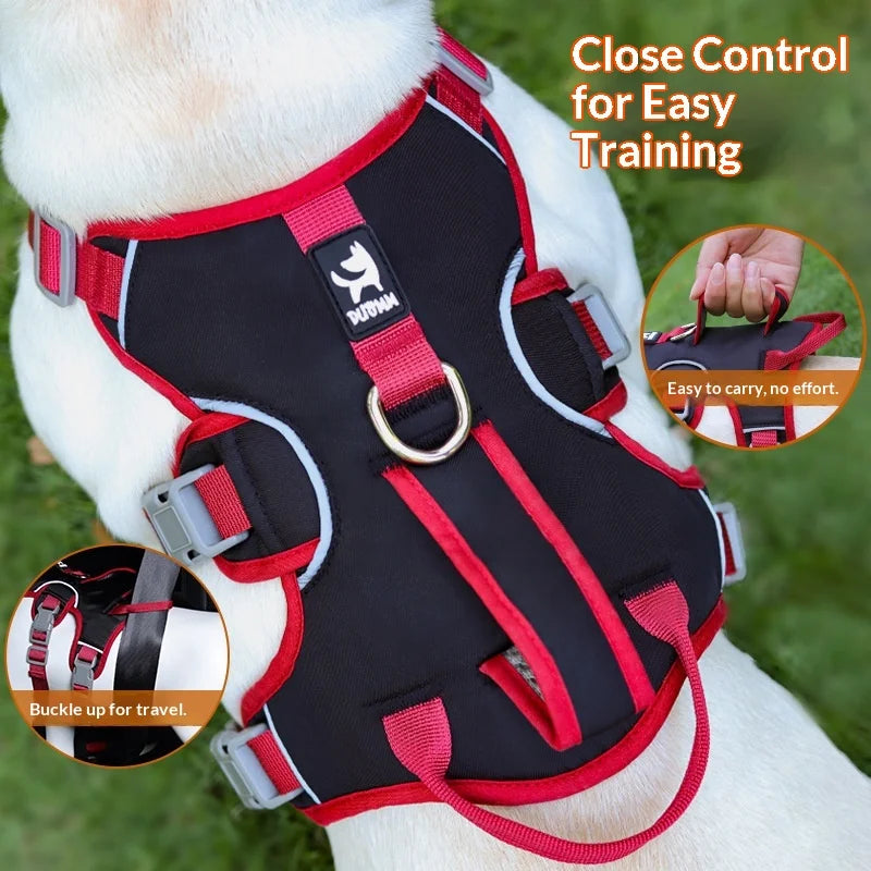 Harnais Anti-Évasion 3 Sections pour Grand Chien - avec Laisse