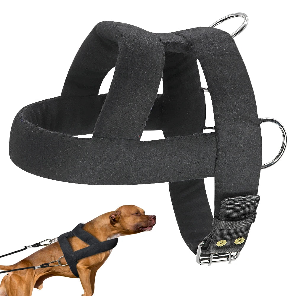 Harnais Canicross pour Chien - Tirage et Entraînement Sportif