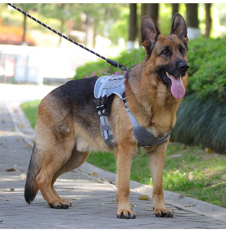 Harnais Gilet Tactique pour Grand Chien - Entraînement et Garde