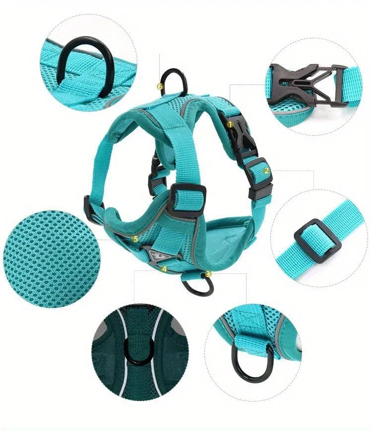 Ensemble Harnais et Laisse Anti-Traction pour Petit Chien et Chat - Réfléchissant