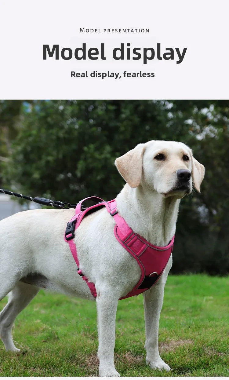 Harnais Compatible AirTag pour Petit Chien - Anti-Perte