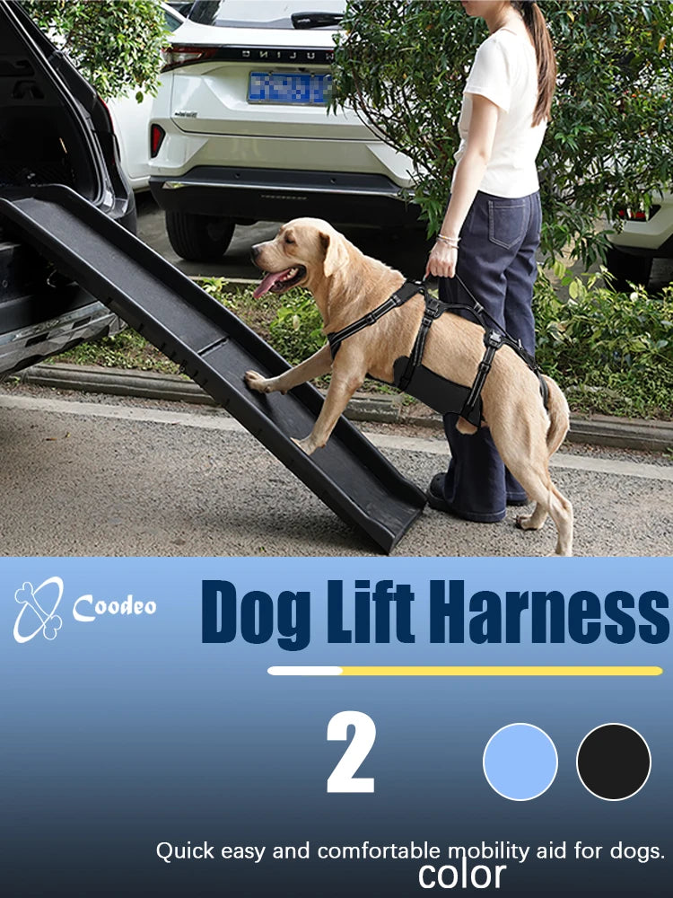 Harnais de Soutien Dorsal Réglable pour Chien - Post-Chirurgical