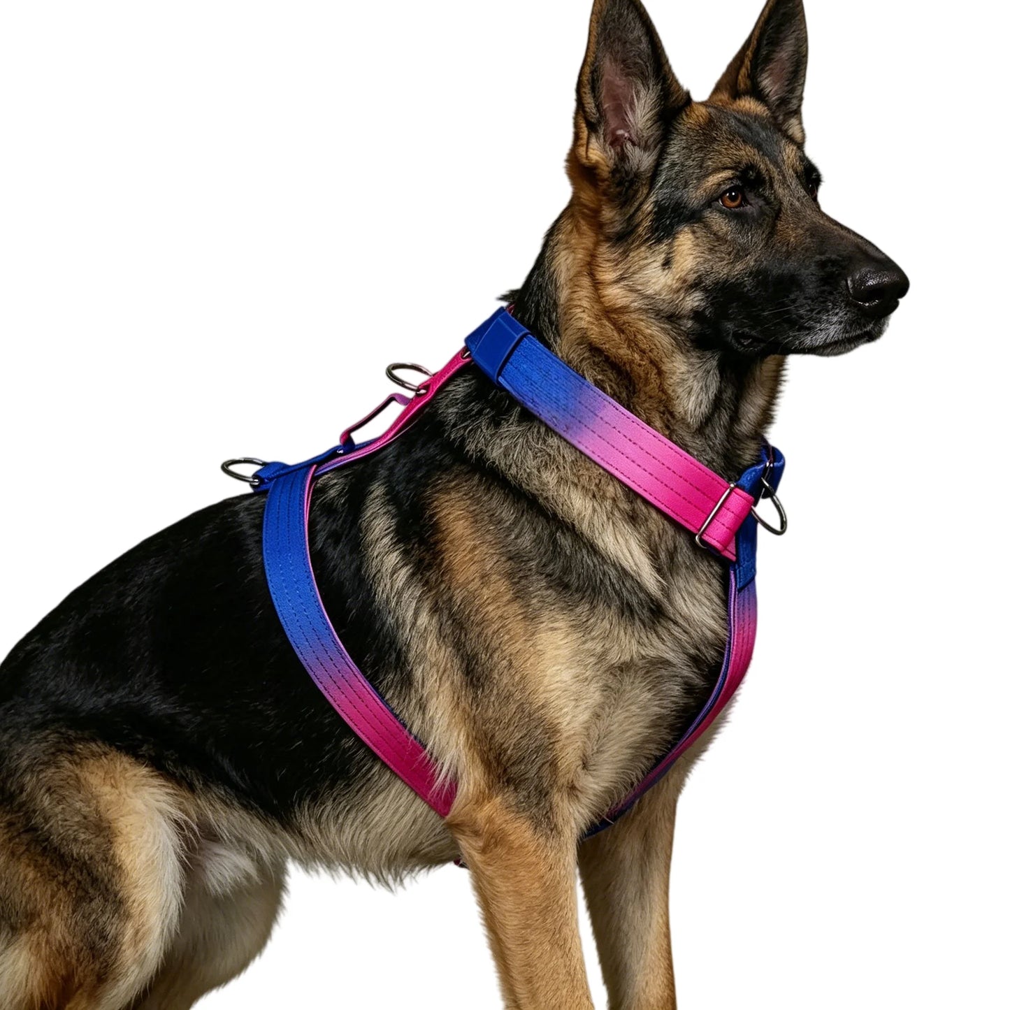Harnais Anti-Traction Dégradé pour Grand Chien - Doubles Anneaux D