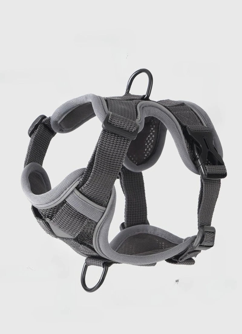 Ensemble Harnais et Laisse Sans Traction pour Petit Chien et Chat